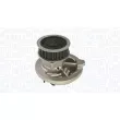 MAGNETI MARELLI 350984242000 - Pompe à eau, refroidissement du moteur