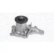 MAGNETI MARELLI 350984281000 - Pompe à eau, refroidissement du moteur