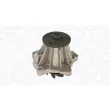 MAGNETI MARELLI 350984299000 - Pompe à eau, refroidissement du moteur