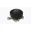 MAGNETI MARELLI 350984308000 - Pompe à eau, refroidissement du moteur