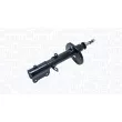 MAGNETI MARELLI 354920070100 - Amortisseur arrière droit