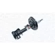 MAGNETI MARELLI 357175070100 - Amortisseur avant droit