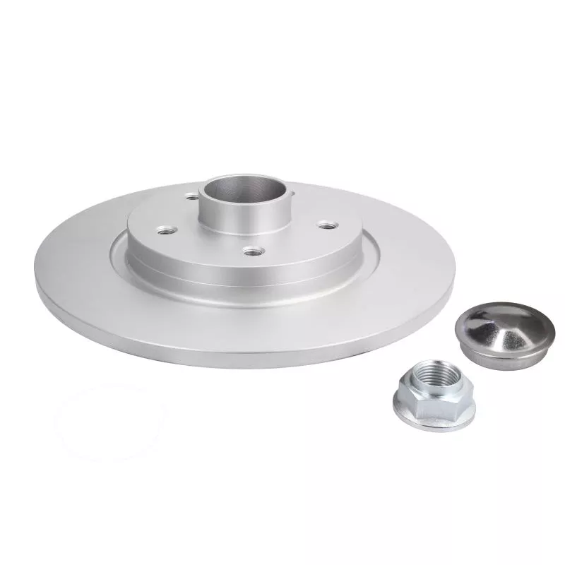 Jeu de 2 disques de frein arrière DELPHI BG9113RSC - Visuel 1