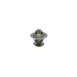 AUTOMEGA 160047210 - Thermostat d'eau