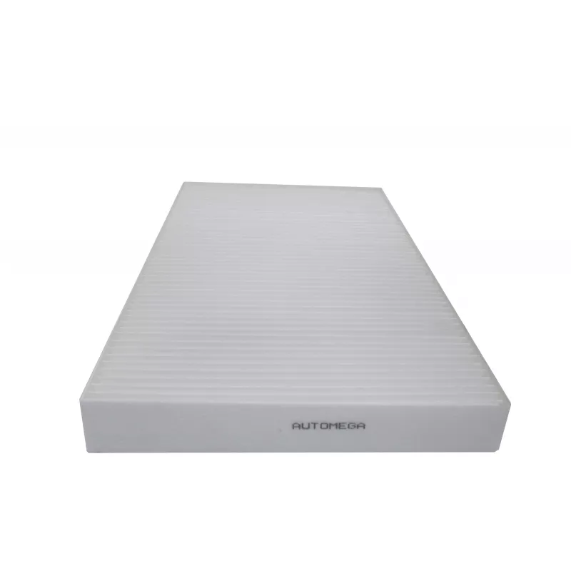 Filtre, air de l'habitacle AUTOMEGA 180048910 - Visuel 2