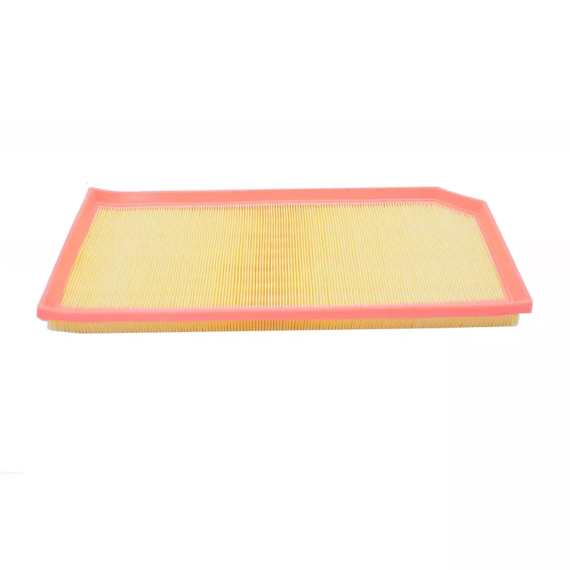 Filtre à air AUTOMEGA 246784410 - Visuel 2