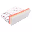 Filtre à air AUTOMEGA [250051110]