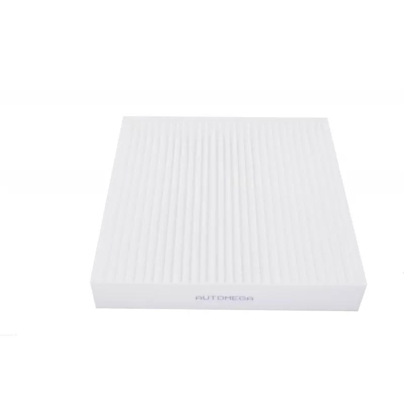 Filtre, air de l'habitacle AUTOMEGA 250202010 - Visuel 2