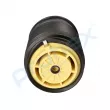 PROFLEX PX9-1019 - Ressort pneumatique, châssis arrière droit