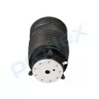 PROFLEX PX9-1029 - Ressort pneumatique, châssis arrière droit