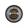 TEKNÖR CTM-SB-000 - Thermostat, liquide de refroidissement