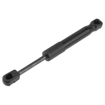 Vérin de hayon, de coffre TEKNÖR AE-ME-113 pour MERCEDES-BENZ CLASSE S S 450 4-matic - 367cv