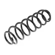 TEKNÖR ASZ-VW-016 - Ressort de suspension