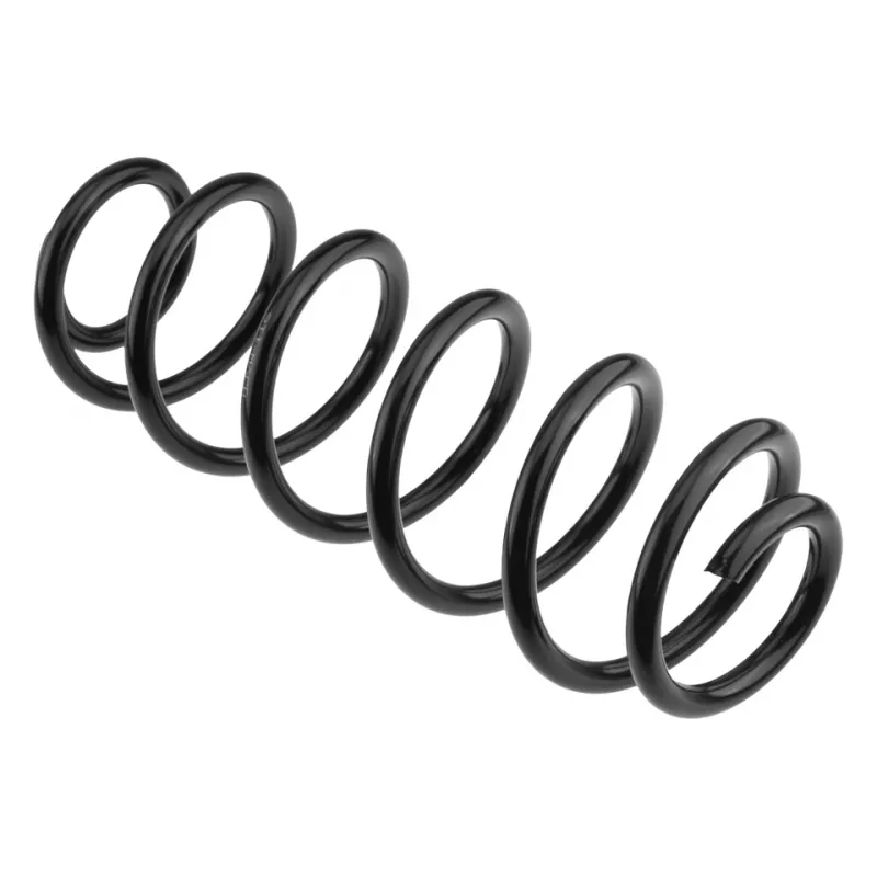 Ressort de suspension TEKNÖR ASZ-VW-116 - Visuel 1