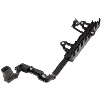 Jeu de câbles, boîte de vitesses automatique TEKNÖR EAT-HY-001 pour KIA OPTIMA 2.0 T-GDi - 238cv