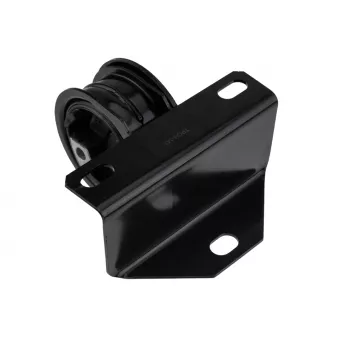 Support moteur TEKNÖR OEM 4612427AB