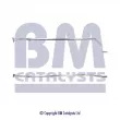 Tuyau d'échappement BM CATALYSTS [BM50107]
