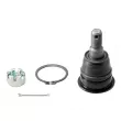 Rotule de suspension CTR [CB0320]