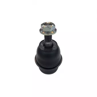 Rotule de suspension CTR OEM 4016000QAB