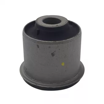 Silent bloc de l'essieu / berceau CTR GV0067