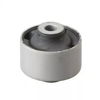 Silent bloc de l'essieu / berceau CTR GV0121