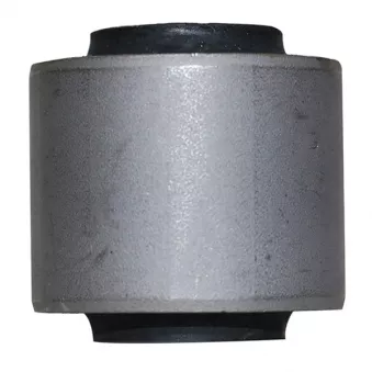 Silent bloc de l'essieu / berceau CTR GV0301