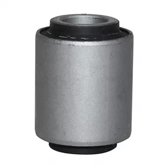 Silent bloc de l'essieu / berceau CTR OEM 545602Y020