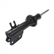 CTR GY0366G - Amortisseur avant droit