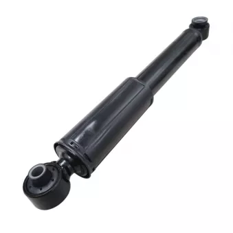 Jeu de 2 amortisseurs arrière CTR GY0477G