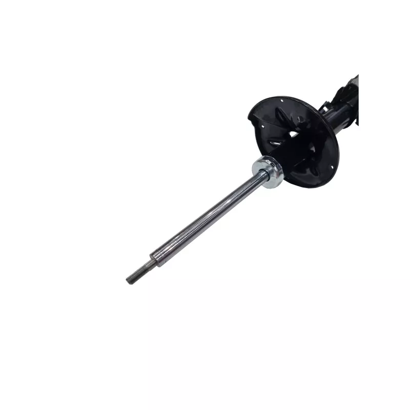 Amortisseur arrière gauche CTR GY0582G - Visuel 2