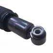 CTR GY0658G - Jeu de 2 amortisseurs arrière