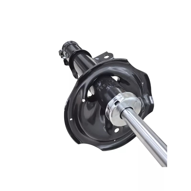 Amortisseur avant gauche CTR GY0712G - Visuel 2