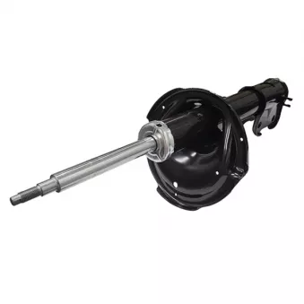 Amortisseur avant droit CTR OEM 546602B100