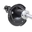 CTR GY0832G - Amortisseur avant gauche