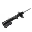 CTR GY0837G - Amortisseur avant droit