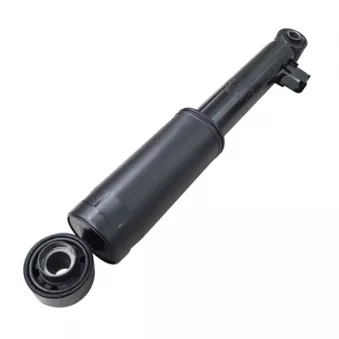 Jeu de 2 amortisseurs arrière CTR GY0843G