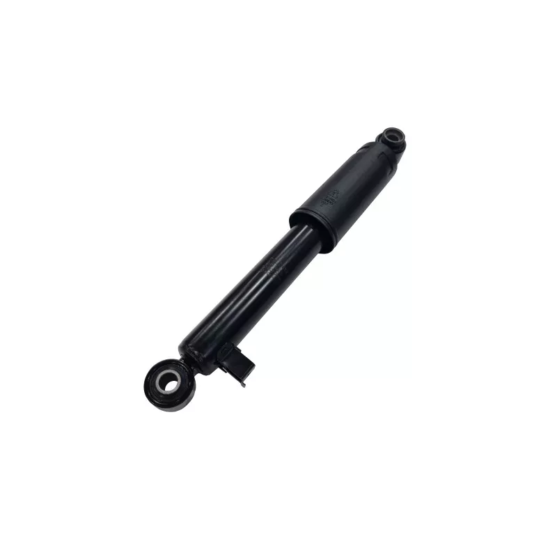 Jeu de 2 amortisseurs arrière CTR GY0846G - Visuel 1