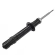 CTR GY0888G - Jeu de 2 amortisseurs avant