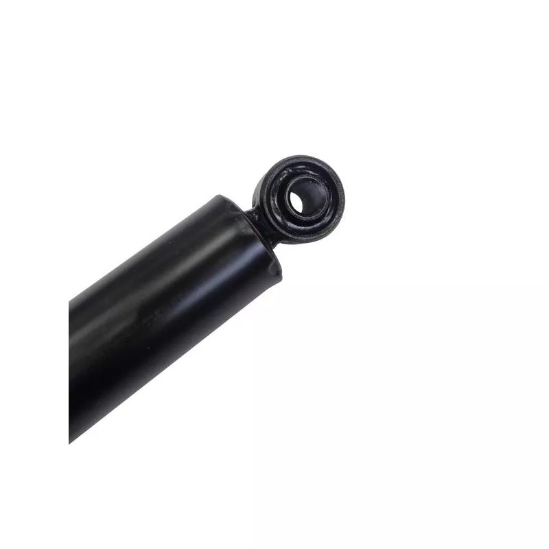 Jeu de 2 amortisseurs arrière CTR GY0955G - Visuel 1