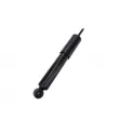 CTR GY0962G - Jeu de 2 amortisseurs avant