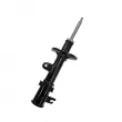 CTR GY1011G - Amortisseur avant gauche