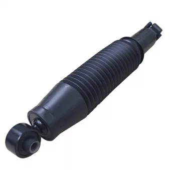 Jeu de 2 amortisseurs arrière CTR GY1279G