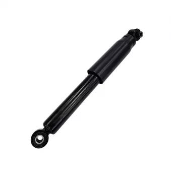 Jeu de 2 amortisseurs arrière CTR GY1287G