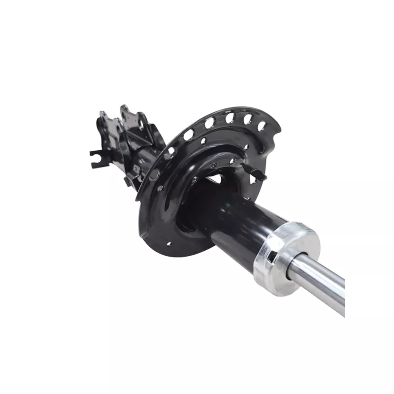 Amortisseur avant gauche CTR GY1384G - Visuel 2