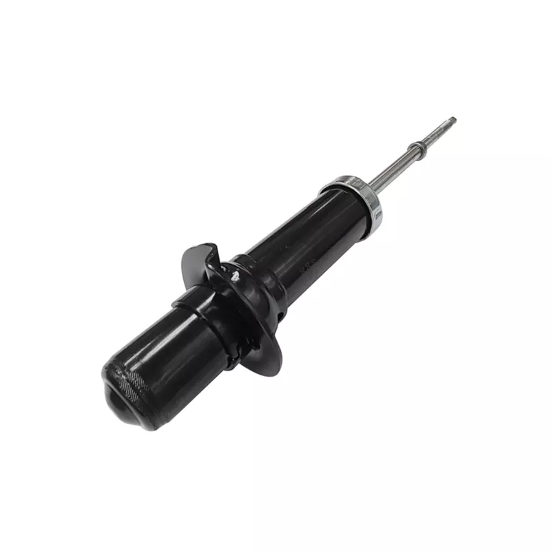 Jeu de 2 amortisseurs avant CTR GY1569G - Visuel 1