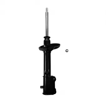 CTR GY2078G - Jeu de 2 amortisseurs avant