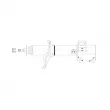 Amortisseur avant droit CTR [GY2168G]