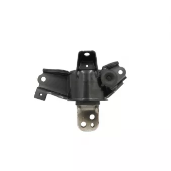 Support moteur CTR OEM 218302H100