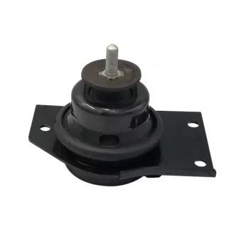 Support moteur CTR OEM 218101G100