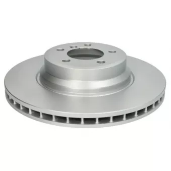 Jeu de 2 disques de frein avant ABE OEM 6750267
